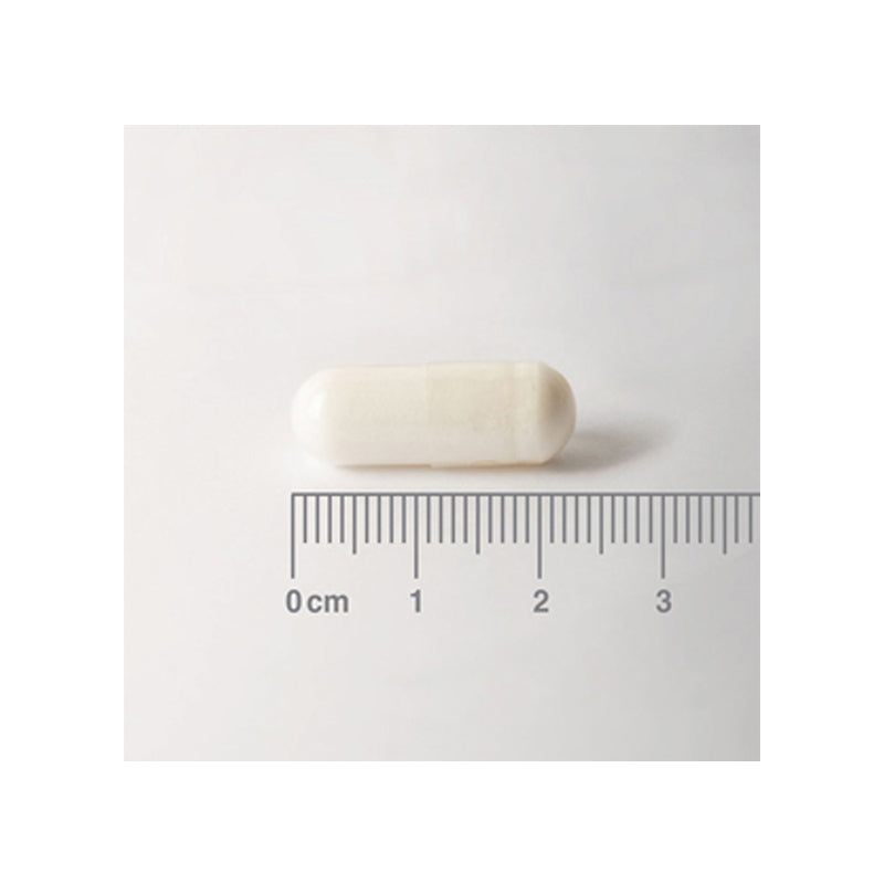 L-Carnitina 500 mg Pura en forma libre. Aminoácido no esencial