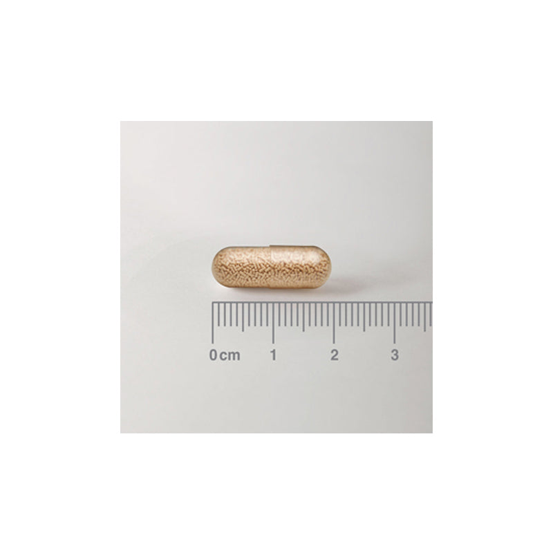 Biome Balance Antibiotics (para aquellos que toman antibióticos)