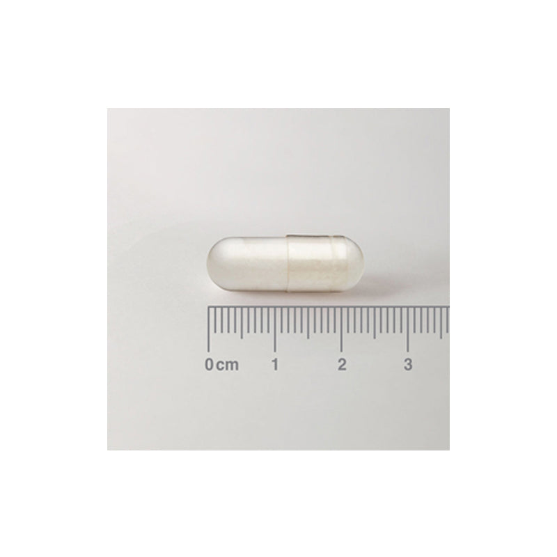 Acetil L-Carnitina 500 mg en forma Libre. Aminoácido no esencial