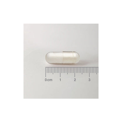 Acetil L-Carnitina 500 mg en forma Libre. Aminoácido no esencial
