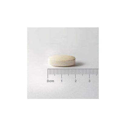 Complejo de Glucosamina y Phytodroitin™ 
Sulfato de Glucosamina (GlucosaGreen®) y Phytodrointina™ (100% vegetal). Alternativas Veganas