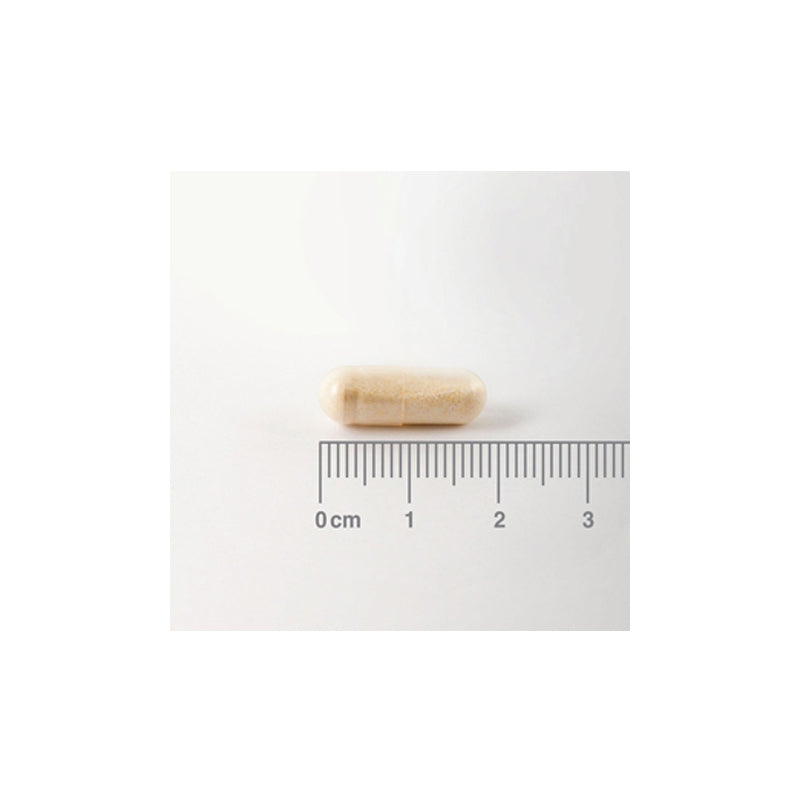 Digestizyme®. Enzimas Digestivas de origen vegetal.
Lipasa, Amilasa, Proteasa, Glucoamilasa, Celulasa, Bromelina, Papaína