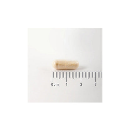 Digestizyme®. Enzimas Digestivas de origen vegetal.
Lipasa, Amilasa, Proteasa, Glucoamilasa, Celulasa, Bromelina, Papaína