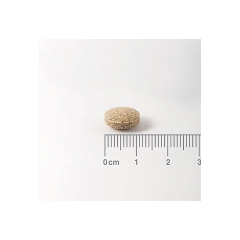 Ginkgo Biloba 6000 mg. Alta concentración en tabletas de liberación sostenida