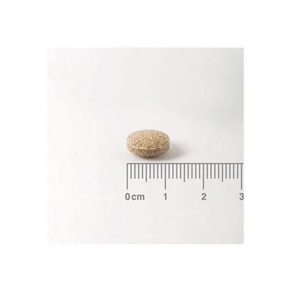 Ginkgo Biloba 6000 mg. Alta concentración en tabletas de liberación sostenida