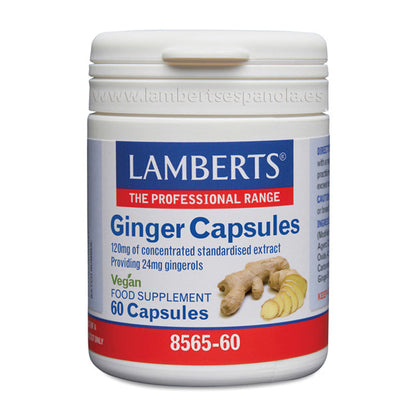 Jengibre Cápsulas. 120 mg de extracto equivalente a más de 14 gramos de rizoma de jengibre fresco.