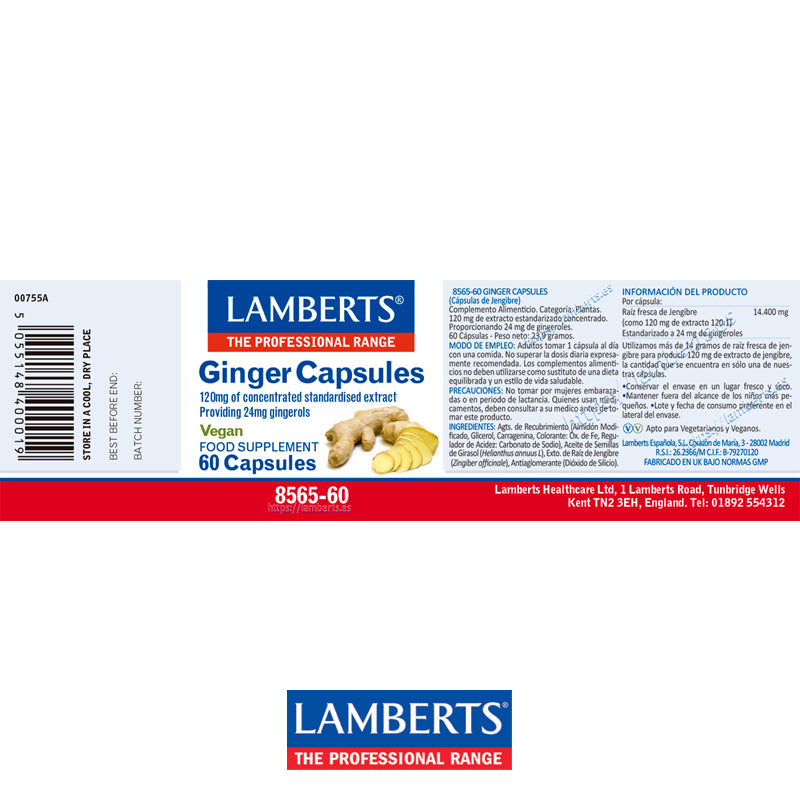 Jengibre Cápsulas. 120 mg de extracto equivalente a más de 14 gramos de rizoma de jengibre fresco.