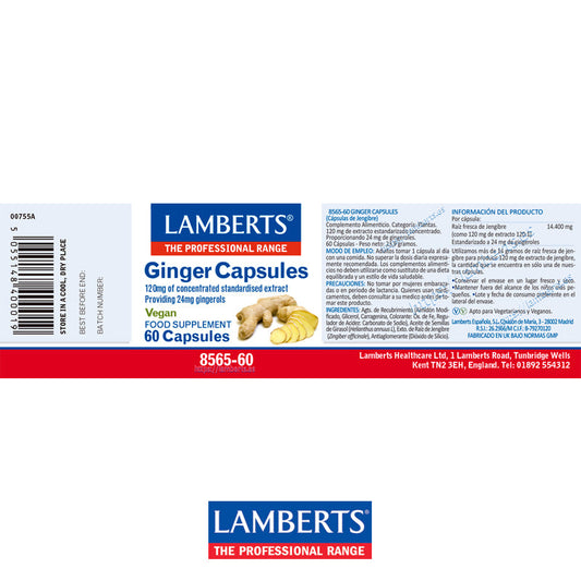 Jengibre Cápsulas. 120 mg de extracto equivalente a más de 14 gramos de rizoma de jengibre fresco.
