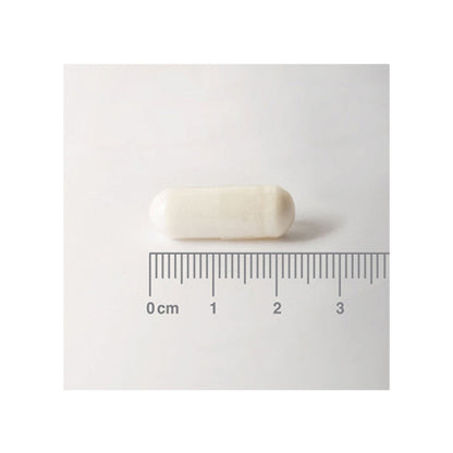 L-Carnitina 500 mg Pura en forma libre. Aminoácido no esencial