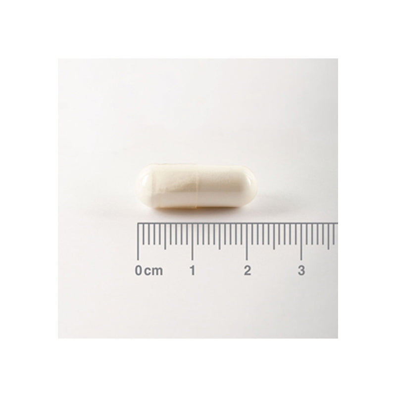 L-Glutamina 500 mg. Pura. Aminoácido no esencial con 90 cápsulas