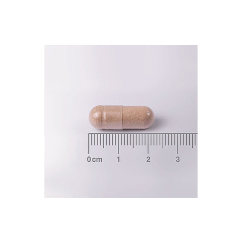 L-Teanina 200 mg en forma Libre. Aminoácido no esencial