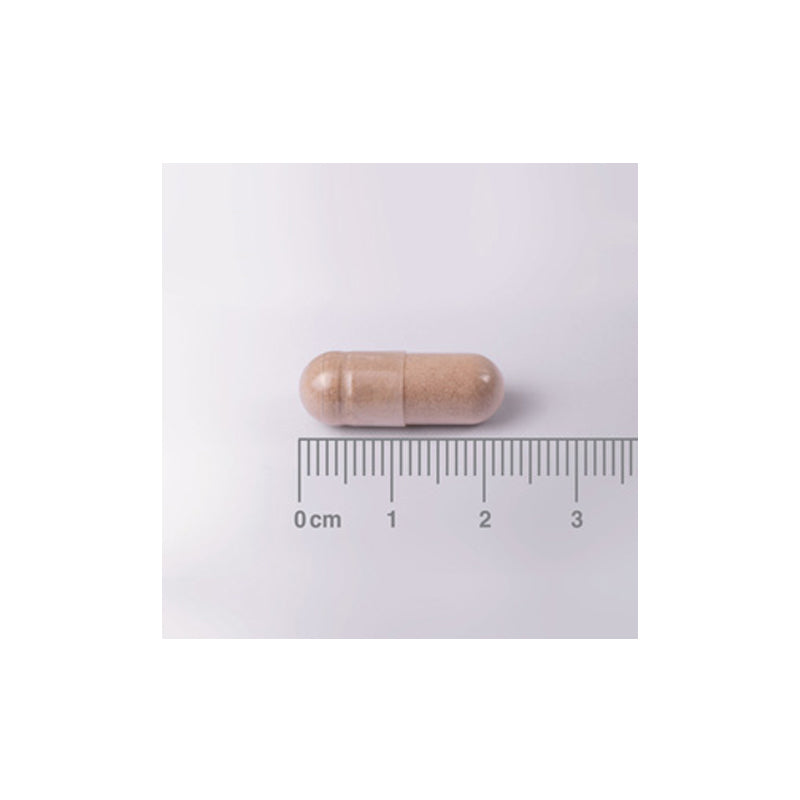 Complejo de L-Teanina 200 mg y Bálsamo de Limón 6000 mg, con ácido pantoténico.