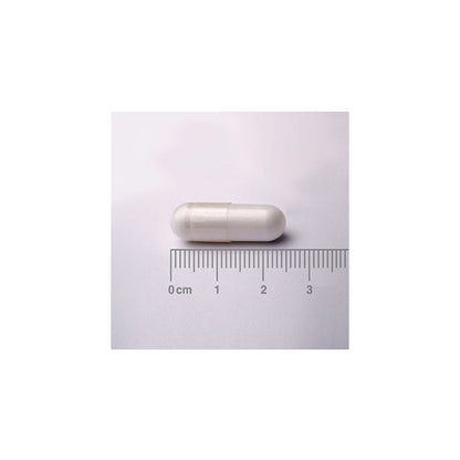 Neuro-Logical PLUS. Doble concentración – Doble acción. Ahora con 400 mg de PEA (palmitoiletanolamida)