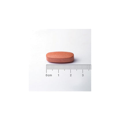 Ácido Pantoténico o Vitamina B5 como Pantotenato de Calcio 500 mg
Liberación Sostenida. Contribuye al rendimiento intelectual normal