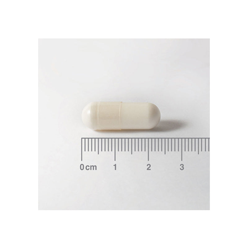 NAC (N-Acetil Cisteína) 300 mg, Aminoácido no esencial.
Forma modificada del aminoácido L-Cisteína