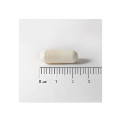 NAC (N-Acetil Cisteína) 300 mg, Aminoácido no esencial.
Forma modificada del aminoácido L-Cisteína