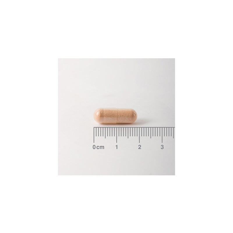 Pycnogenol® 40 mg. Extracto de Corteza de Pino Marítimo. Aporta proantocianidinas.