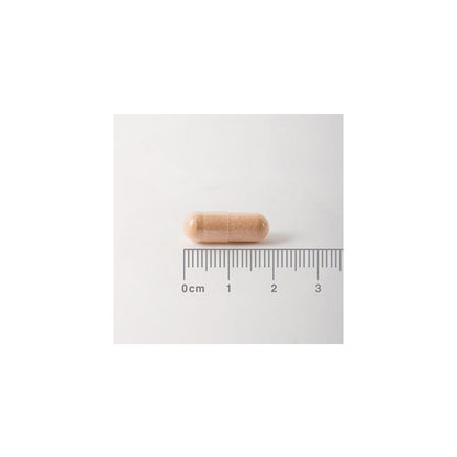 Pycnogenol® 40 mg. Extracto de Corteza de Pino Marítimo. Aporta proantocianidinas.