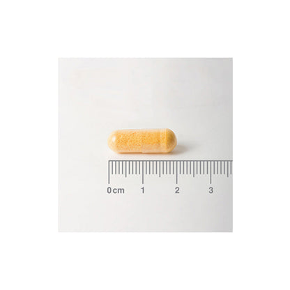 Riboflavina o Vitamina B2 50 mg
Apoyo al funcionamiento normal del sistema nervioso y más