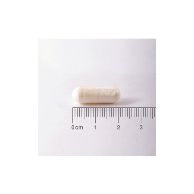 Taurina 500 mg. Forma libre. Aminoácido no esencial. Fácil absorción